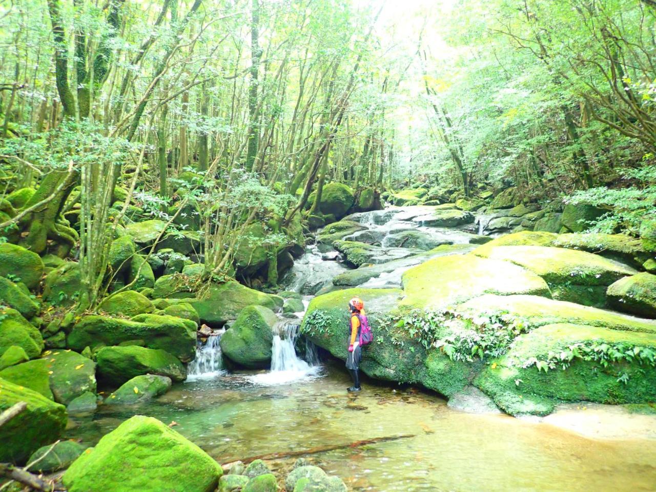 Yakushima Cottage Morino Fairy All Cotage With Open-Air Bath Zewnętrze zdjęcie